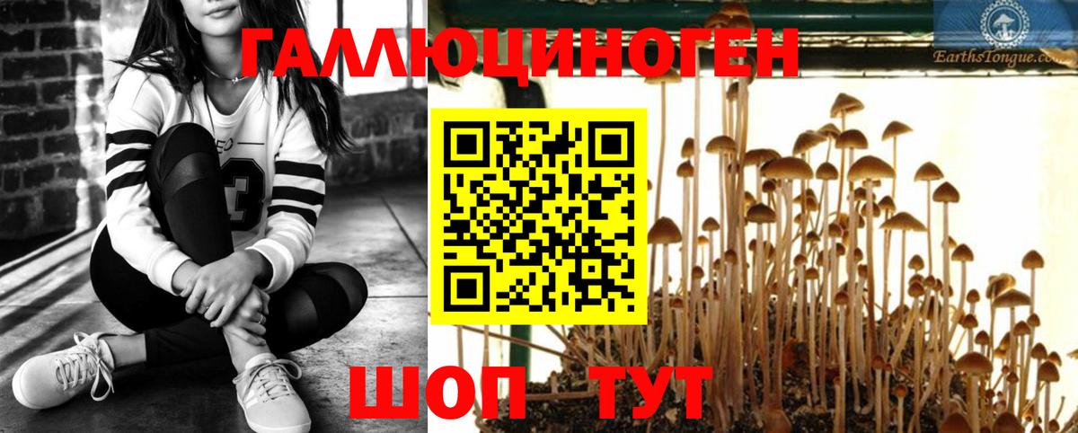 Лесосибирск  Галлюциногенные грибы мухоморы  Вход с VPN  Псилоцибиновые грибы Cubensis 